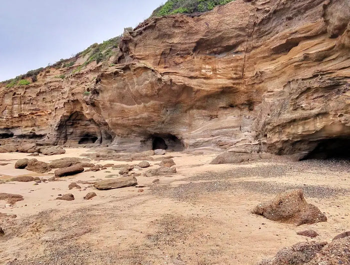 <h1>Your new camping essentials.</h1><h1>Practical. Durable. Stylish.</h1>