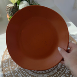 Vanaway Speckled Spice rPET caravan dinner plate held in hand, showcasing the warm terracotta colour, subtle speckled finish and generous size. asymmetrical dinnerware