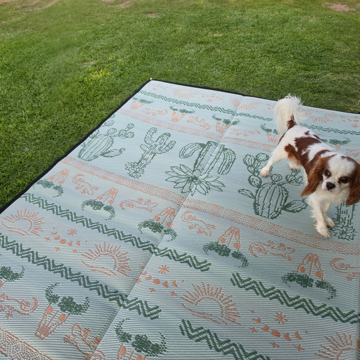 (PRE-ORDER) Dusty Sage Recycled Camping Mat 2.4 x 6m (SHIPS BY 30th NOVEMBER - NOT IN STOCK)